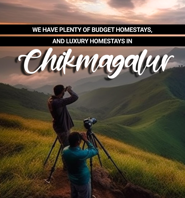 Book best homestay in Chikmagalur for family