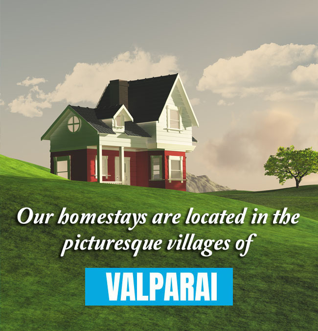 Our homestays are all located in the heart of the beautiful Valparai forest