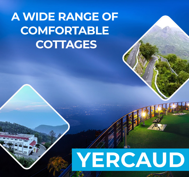 Book a stay at one of our cottages nestled in the mountains of Yercaud