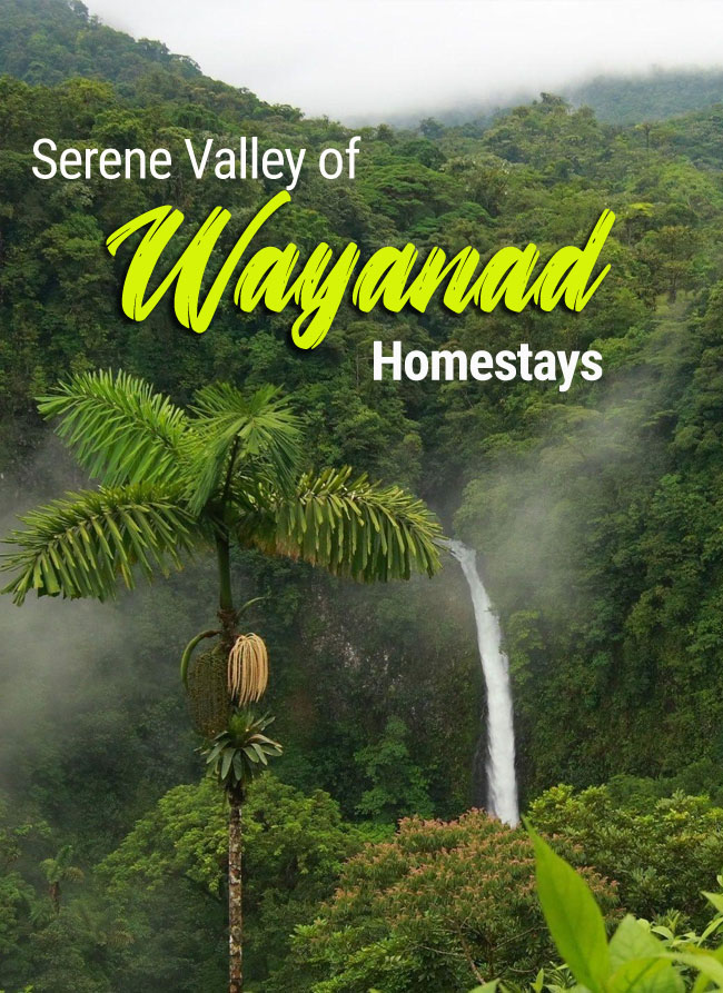 Book best homestay in wayanad for family
