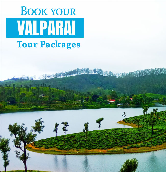 Book your honeymoon package in Valparai today