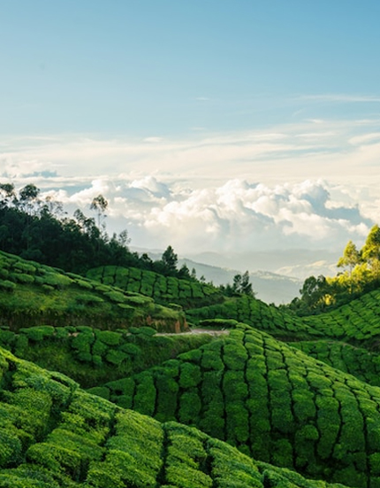 Plan your holidays in Munnar with Richtime Holidays. We offer resorts, cottages and villas in Munnar. Book your holiday packages now at the best rates