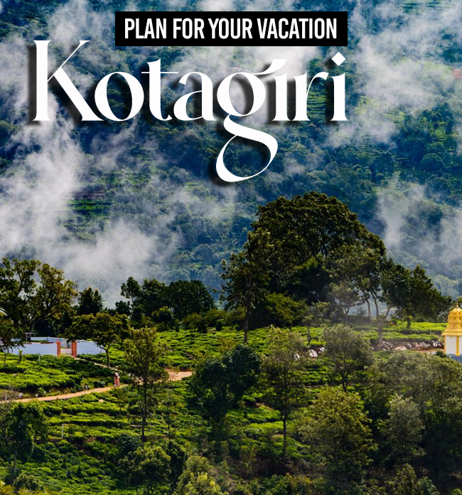 Choose your favorite resort from Richtime Holidays for an unforgettable vacation to Kotagiri. 