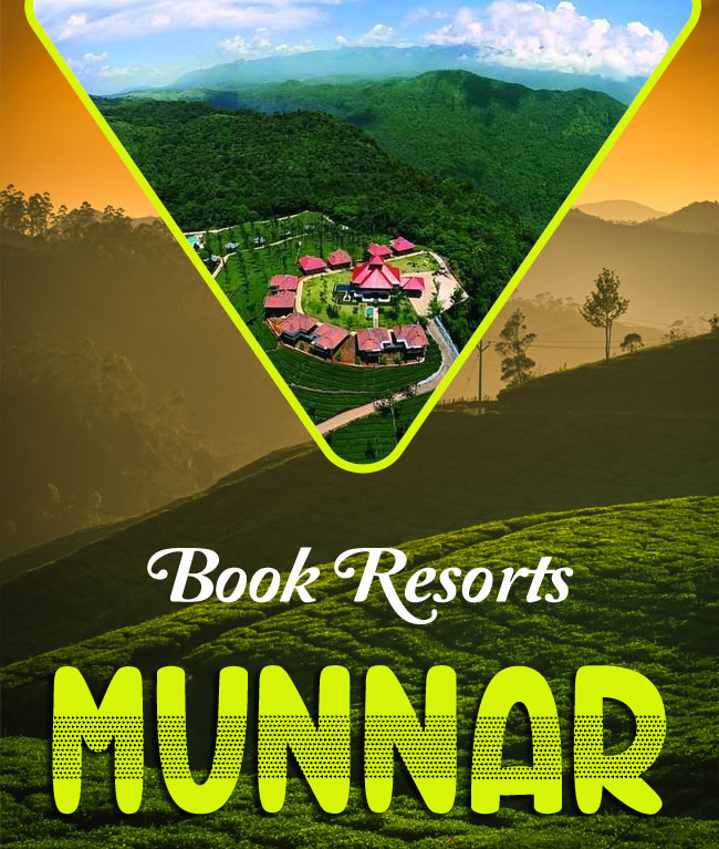 Choose your favorite resort from Richtime Holidays for an unforgettable vacation to Munnar. 