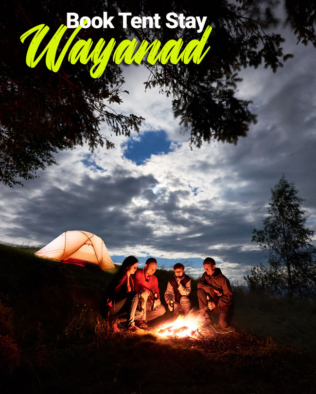 The best way to experience the beauty of Wayanad is tent stay in a glamping village.
