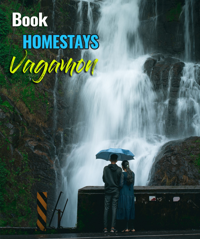 Book best homestay in vagamon for family