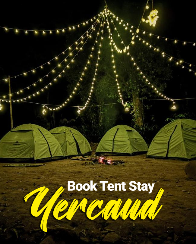 Richtime Holidays offers some of the best-value private tent stays in Yercaud