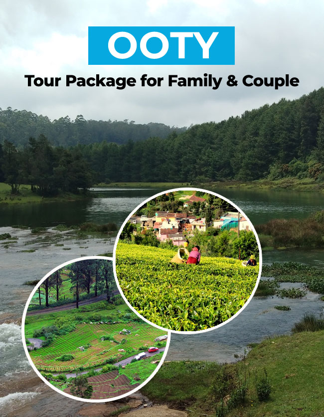 ooty tour package for family