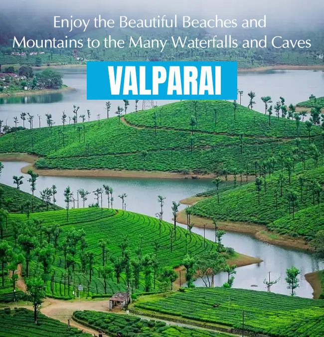 Book Budget and luxury hotels in Valparai